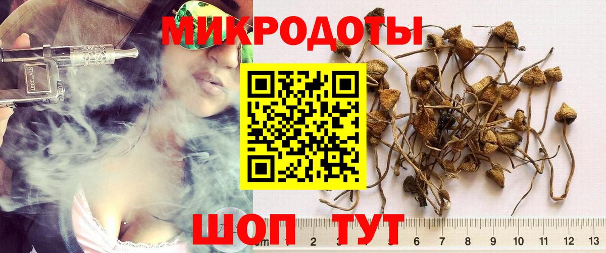 Галлюциногенные грибы мухоморы Кувандык