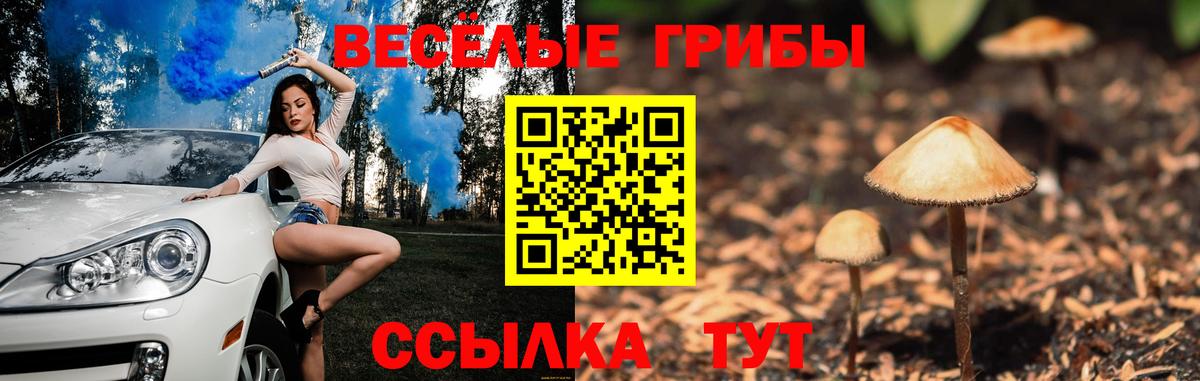 Галлюциногенные грибы мицелий  Галлюциногенные грибы Cubensis  Вход с VPN  Кувандык 
